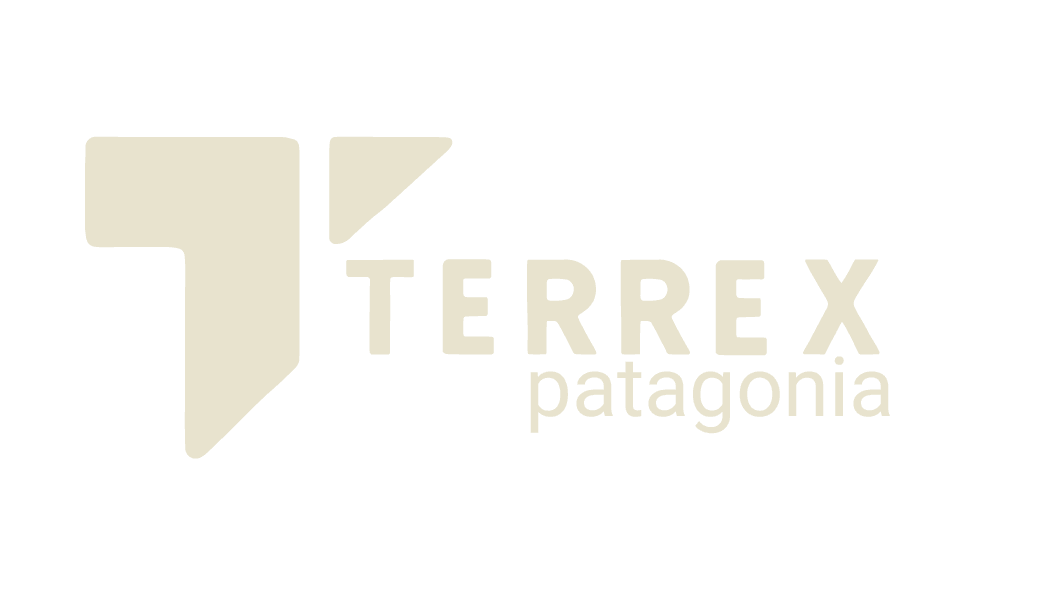 Terrex Patagonia